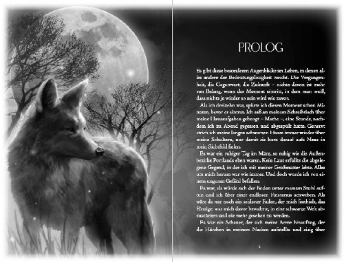 Buchcover und Innenansicht für das Buch: Kissing the Dark