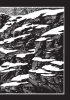 Buchcover und Innenansicht für das Buch: Der Werwolf von Tarker Mills