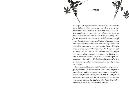 Buchcover und Innenansicht für das Buch: Brombeerfuchs - Der Zauber von Sturmauge