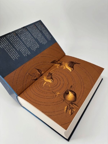 Buchcover und Innenansicht für das Buch: Gifted & Talented
