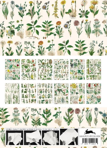 Buchcover und Innenansicht für das Buch: Flora