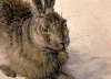 Buchcover und Innenansicht für das Buch: Albrecht Dürer
