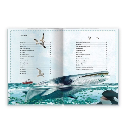 Buchcover und Innenansicht für das Buch: Trötsch Kinderbuch Das großartige Buch der Wale| Ab 8 Jahren