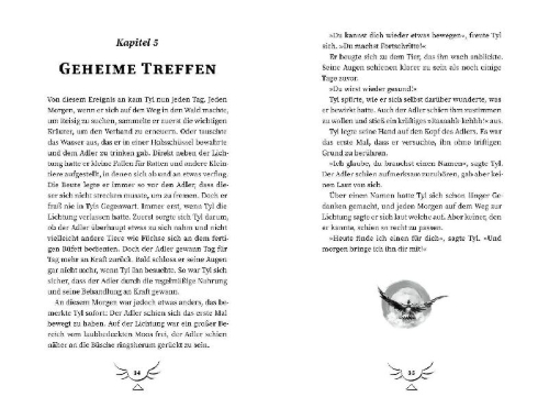 Buchcover und Innenansicht für das Buch: Eagle Rider 1. Deine Kraft findet dich