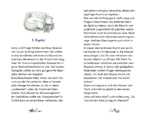 Buchcover und Innenansicht für das Buch: Die Nordseedetektive (Band 12) - Brandgefährlich!