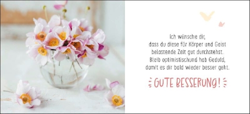 Buchcover und Innenansicht für das Buch: Gute Besserung