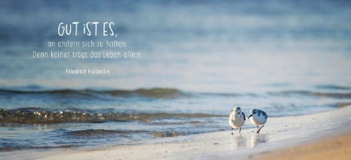 Buchcover und Innenansicht für das Buch: Gute Besserung