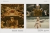 Buchcover und Innenansicht für das Buch: Shoot Like Wes. A Practical Guide to Creating Your Own Wes Anderson Photography