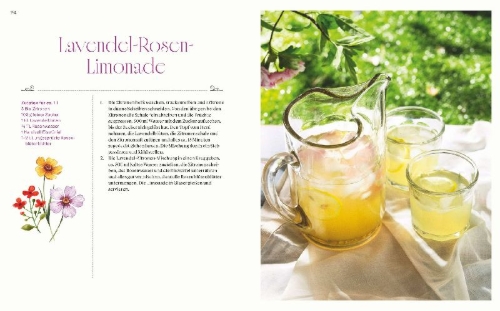 Buchcover und Innenansicht für das Buch: Picknick mit Jane Austen