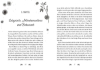 Buchcover und Innenansicht für das Buch: Flora Brimble und der verlorene Frühling