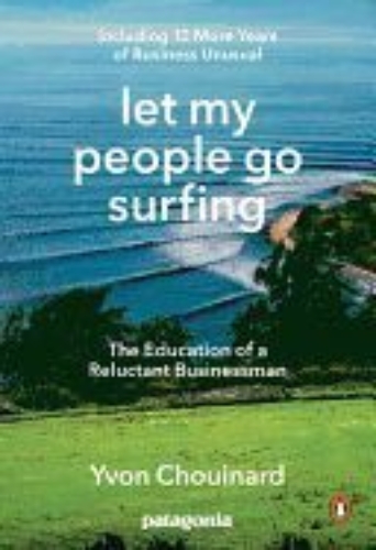 Buchcover und Innenansicht für das Buch: Lass die Mitarbeiter surfen gehen
