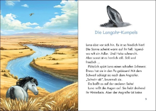 Buchcover und Innenansicht für das Buch: Wildpferde - mutig und frei (Band 4) - Der verschwundene Mustang