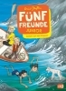 Buchcover und Innenansicht für das Buch: Fünf Freunde JUNIOR - Gefahr auf den Klippen