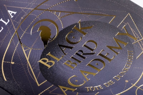 Buchcover und Innenansicht für das Buch: Black Bird Academy - Töte die Dunkelheit