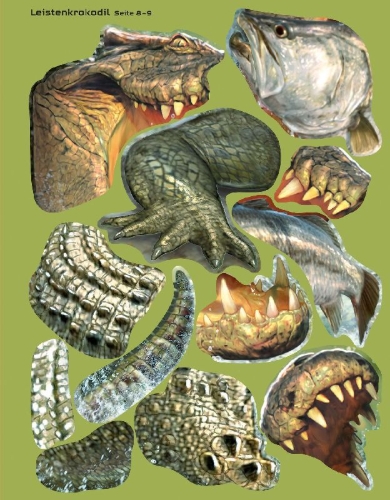 Buchcover und Innenansicht für das Buch: Der große Stickerspaß: Tierisch gefährlich! & Meerestiere