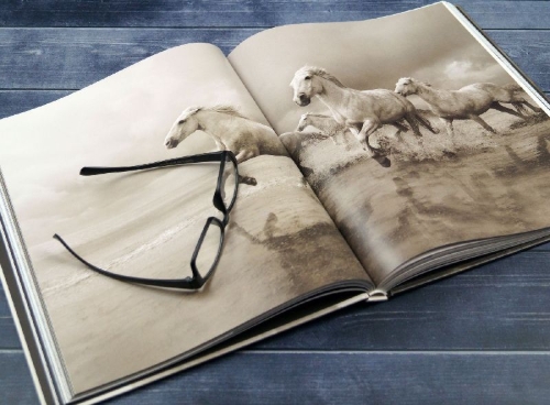 Buchcover und Innenansicht für das Buch: Untamed Spirits: Horses From Around the World