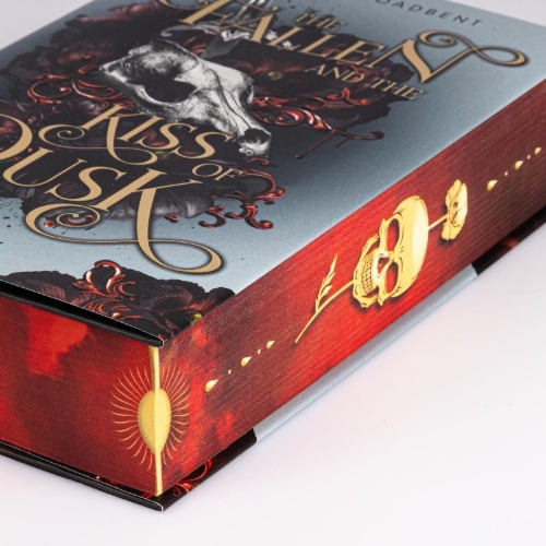 Buchcover und Innenansicht für das Buch: The Fallen and the Kiss of Dusk