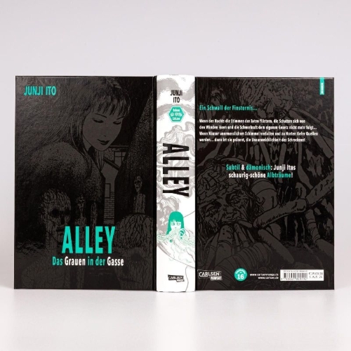 Buchcover und Innenansicht für das Buch: Alley