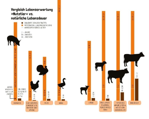 Buchcover und Innenansicht für das Buch: Tiere wollen leben!
