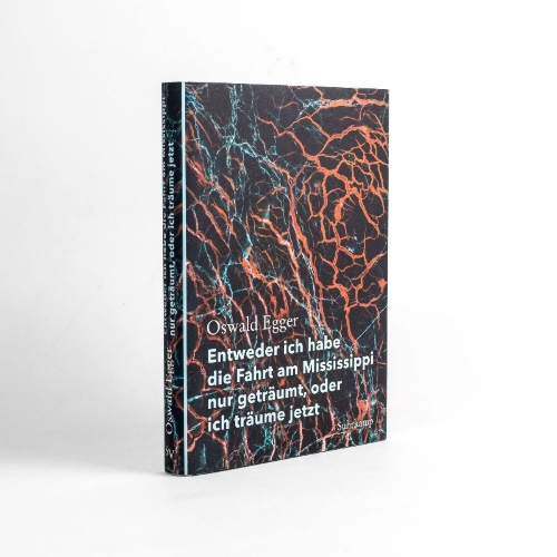 Buchcover und Innenansicht für das Buch: Entweder ich habe die Fahrt am Mississippi nur geträumt, oder ich träume jetzt