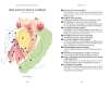 Buchcover und Innenansicht für das Buch: Jouissance Club: Une cartographie du plaisir