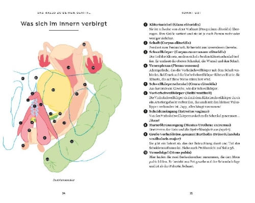 Buchcover und Innenansicht für das Buch: Jouissance Club: Une cartographie du plaisir
