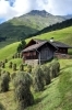 Buchcover und Innenansicht für das Buch: Alpine Vitalküche