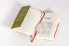Buchcover und Innenansicht für das Buch: The Good Eye