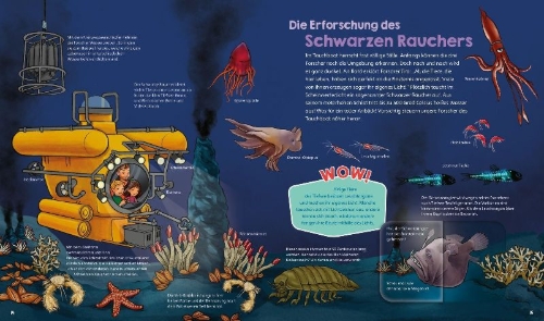 Buchcover und Innenansicht für das Buch: WAS IST WAS Junior Band 42 Erforsche die Ozeane!