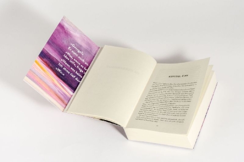 Buchcover und Innenansicht für das Buch: Our Perfect Storm