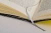 Buchcover und Innenansicht für das Buch: Die Verlassenen -