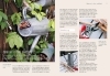 Buchcover und Innenansicht für das Buch: Heimische Pflanzen für den Garten