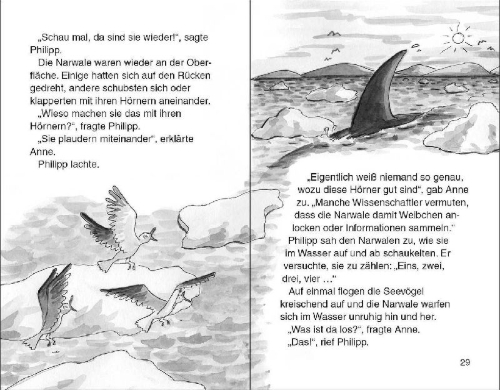 Buchcover und Innenansicht für das Buch: Narwhal on a Sunny Night