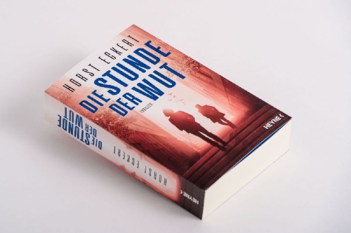 Buchcover und Innenansicht für das Buch: Die Stunde der Wut
