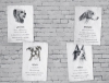 Buchcover und Innenansicht für das Buch: A Streetdog named Pup