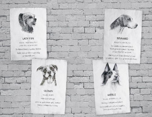 Buchcover und Innenansicht für das Buch: A Streetdog named Pup