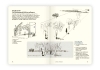 Buchcover und Innenansicht für das Buch: Entscheidungen auf dem Weg zum Bild