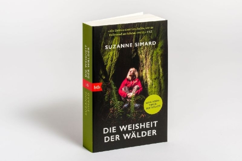 Buchcover und Innenansicht für das Buch: Finding the Mother Tree