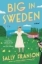 Buchcover und Innenansicht für das Buch: Big in Sweden