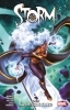 Buchcover und Innenansicht für das Buch: Storm (2024) #6-#12
