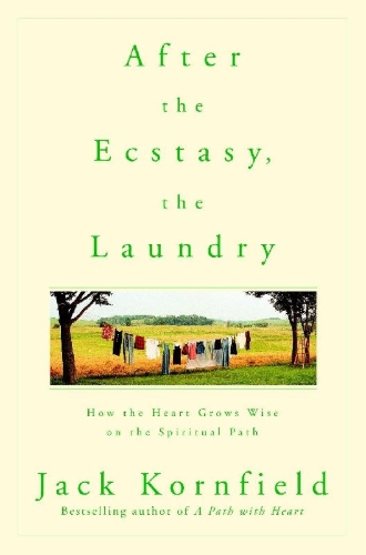 Buchcover und Innenansicht für das Buch: After the Ecstasy, the Laundry