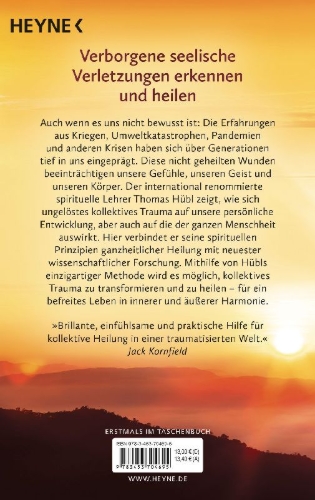 Buchcover und Innenansicht für das Buch: Healing Collective Trauma