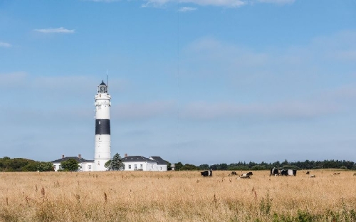Buchcover und Innenansicht für das Buch: Gärten auf Sylt