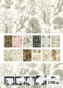 Buchcover und Innenansicht für das Buch: Art Forms in Nature