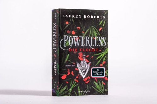 Buchcover und Innenansicht für das Buch: Reckless