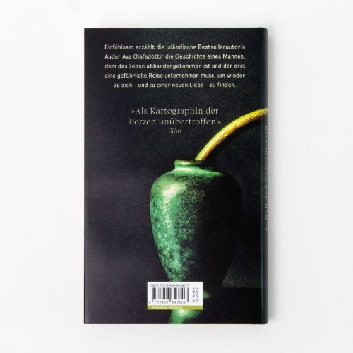 Buchcover und Innenansicht für das Buch: Hotel Silence
