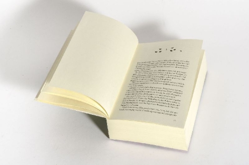 Buchcover und Innenansicht für das Buch: Die Sturmrose