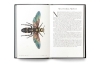 Buchcover und Innenansicht für das Buch: The Wonder of Insects