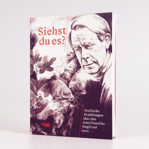 Buchcover und Innenansicht für das Buch: Siehst du es? Grafische Erzählungen über den Schriftsteller Siegfried Lenz