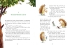 Buchcover und Innenansicht für das Buch: Willkommen im Zoo - Ein neues Zuhause für Ignaz Pfefferminz Igel